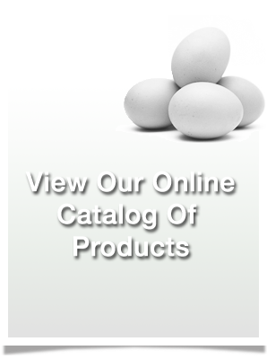 View Our Online Catalog of Products